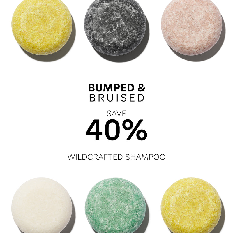 Bumped & Bruised | WILDCRAFTED | Shampoo Bars